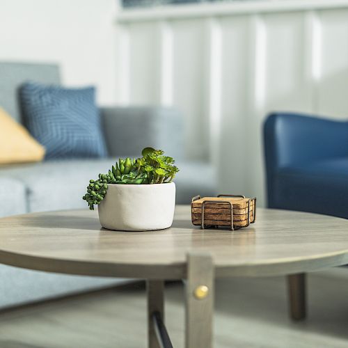 The image shows a living room with a gray sofa, blue armchair, wooden coffee table, small potted plant, and a decorative object on the table.