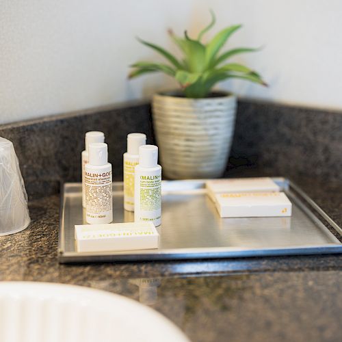 The image shows a bathroom countertop with toiletries, a small potted plant, a tray holding bottles and soap, and a wrapped plastic cup next to a sink.