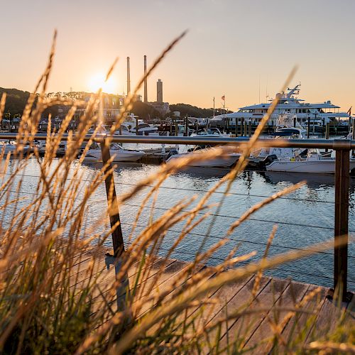 The image shows a harbor at sunset with boats docked, viewed through tall grasses near a waterfront railing, and a distant industrial area.