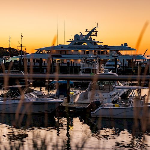 Boats docked in a marina at sunset, with a large yacht in the background and grasses in the foreground.