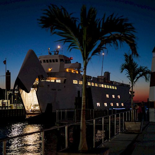 A ship docked at a pier during nighttime, with a lit-up gangway, palm trees, and a lighthouse in the foreground. The sky is dark with some light.