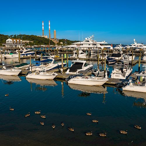 A marina with many docked yachts and boats, calm water reflecting the vessels, a few birds swimming, and a clear blue sky in the background.