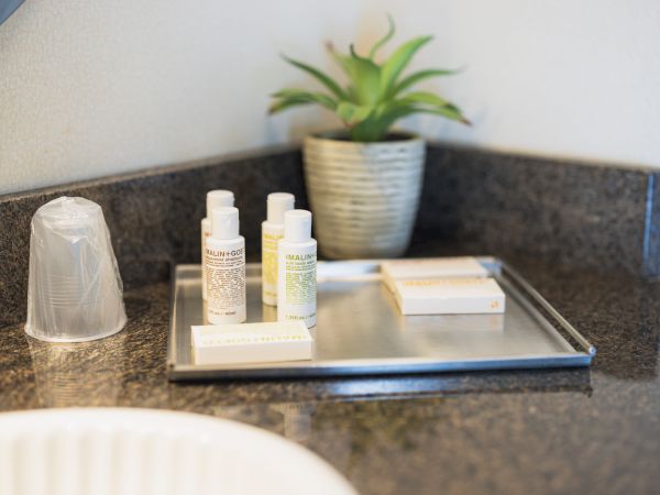 The image shows a bathroom countertop with toiletries, a wrapped cup, a small plant, and a metal tray holding bottles and boxed items.