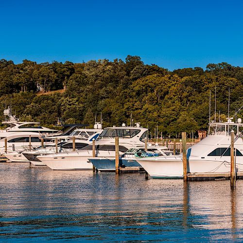 The image shows a marina with several boats and yachts docked in calm water, surrounded by lush trees and a bright, clear sky.