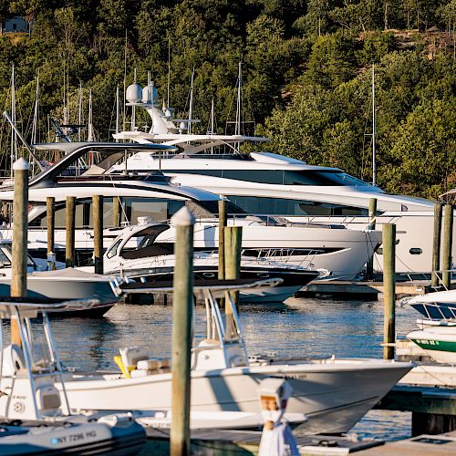 A marina filled with several boats and yachts docked at piers, surrounded by lush, green trees in the background with calm blue waters.