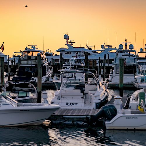 A marina filled with various boats docked at sunset; the golden sky adds a warm glow to the serene waters, enhancing the peaceful scene.