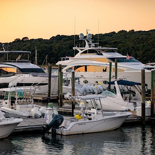 Several boats are docked at a marina during sunset, with a background of trees and calm water.