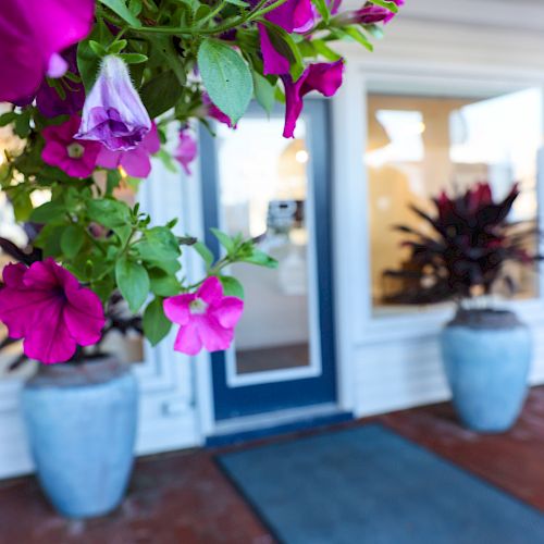 The image shows purple flowers in the foreground with a blue door and potted plants in the background, leading to what seems to be an entrance.