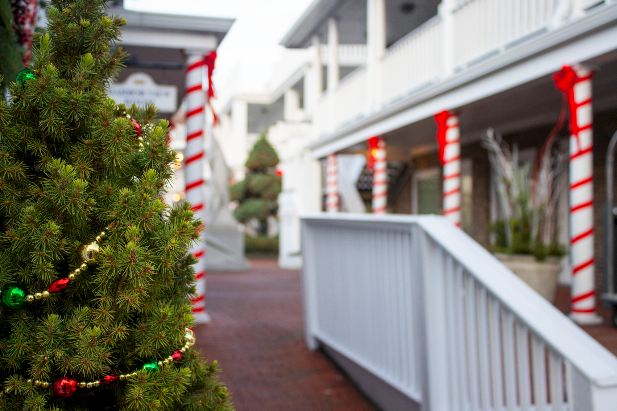 A festive scene with a decorated Christmas tree and red and white candy cane pillars along a building pathway.