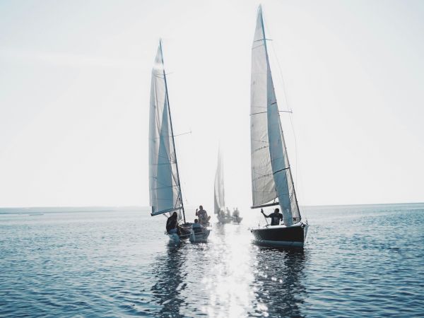 The image shows several sailboats on a calm body of water with sunlight reflecting off the surface.