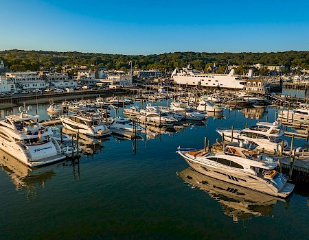 A serene marina with many docked boats and yachts, calm water reflecting the clear blue sky, and white buildings lining the harbor, vibrant and peaceful.