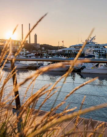 Boats docked at a marina during sunset, with tall grasses in the foreground and an industrial structure in the distance.