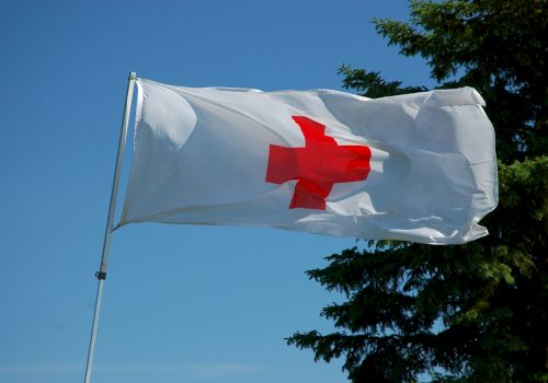 A flag with a red cross on a white background waves against a clear blue sky next to a tree.