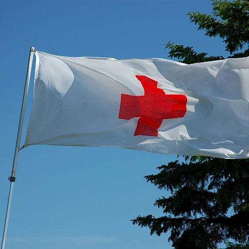 A flag with a red cross on a white background waves against a clear blue sky next to a tree.