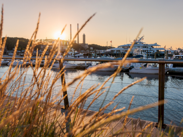 Sunset over a marina with boats docked, viewed through tall grass and railing, creating a peaceful coastal scene.