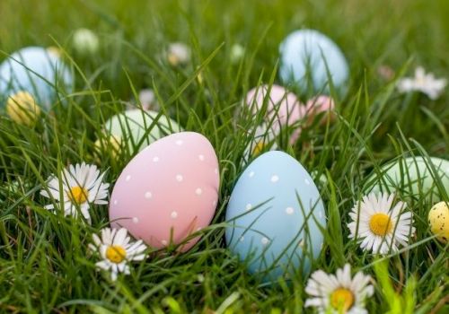 Colorful Easter eggs nestled in green grass with white daisies and small blossoms, soft pastel pink and blue eggs resting among nature.