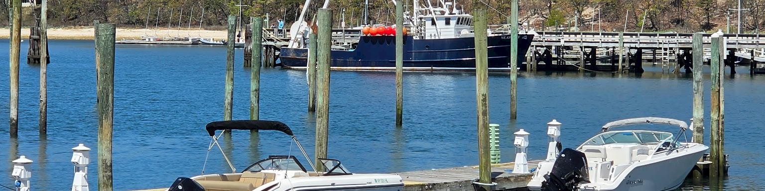 Boats docked at a calm marina with a blue sky, green hills in the background, and a small pier stretching into clear water.