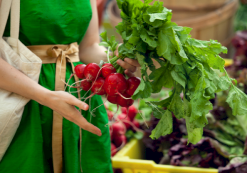 Person in green apron holds bright red radishes with greens at a market, basket and vegetables in background.