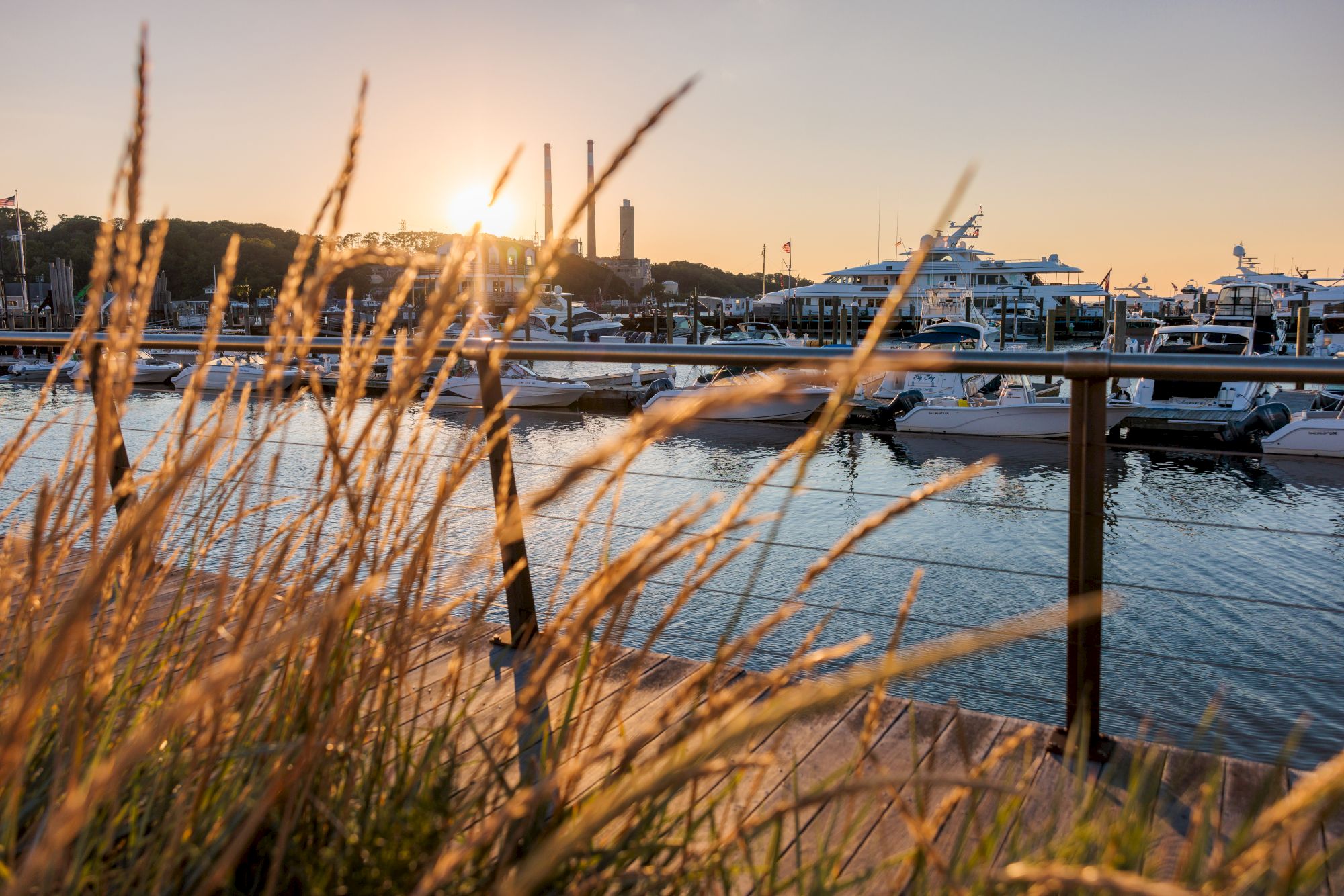 A marina at sunset, with boats docked and sunlight filtering through grasses in the foreground. Two smokestacks and a bridge are visible.