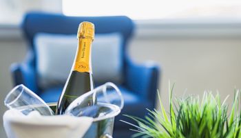 A bottle of champagne and two glasses sit in an ice bucket next to a green plant, with a blue armchair in the background.